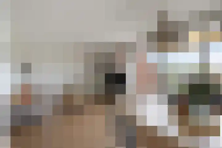 Broekwegzijde 153 Zoetermeer thumbnail 9