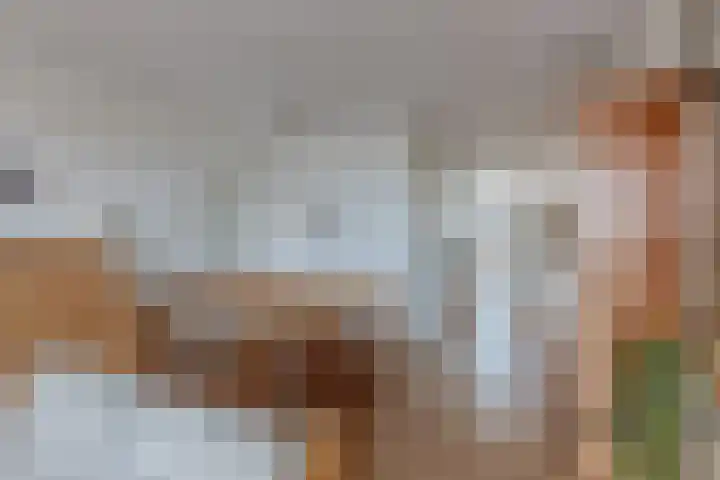 Broekwegzijde 157 Zoetermeer thumbnail 16