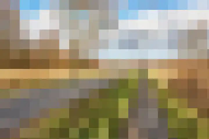 Broekwegzijde 157 Zoetermeer thumbnail 33