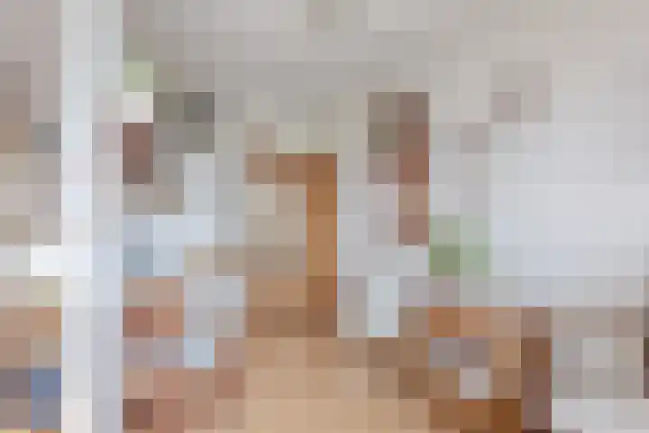 Broekwegzijde 157 Zoetermeer thumbnail 7