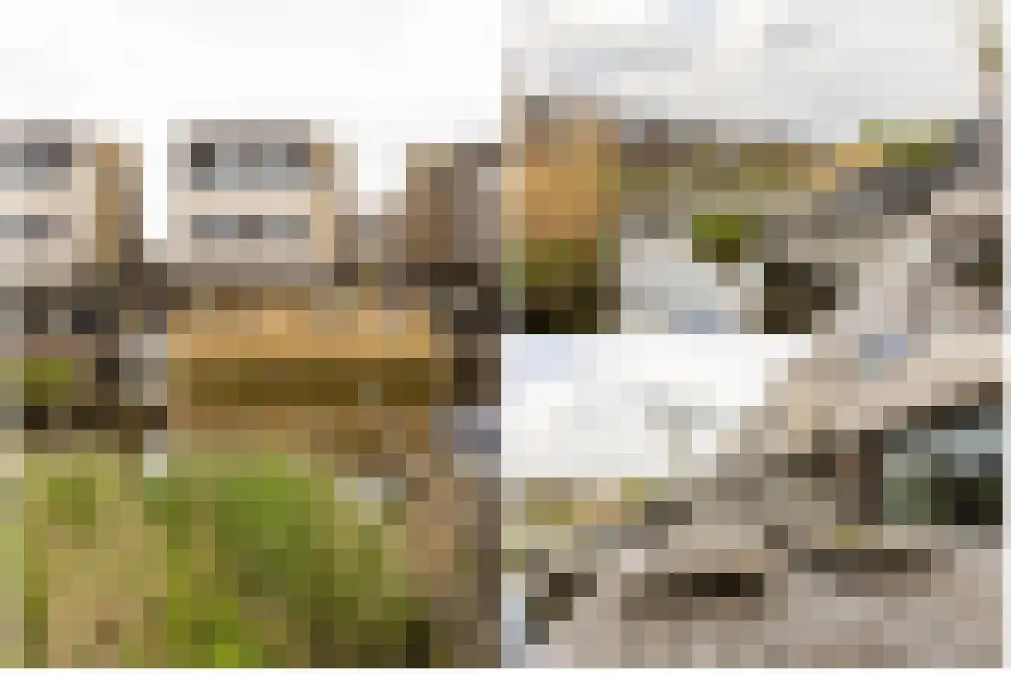 Broekweide 9 Reeuwijk thumbnail 64