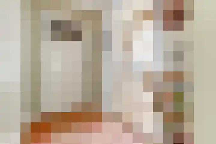 Broekzijdestraat 1 Angerlo thumbnail 11