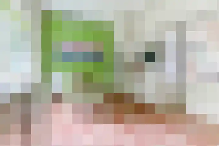 Broekzijdestraat 1 Angerlo thumbnail 12