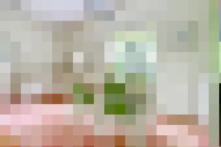 Broekzijdestraat 1 Angerlo thumbnail 13