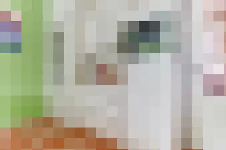 Broekzijdestraat 1 Angerlo thumbnail 14