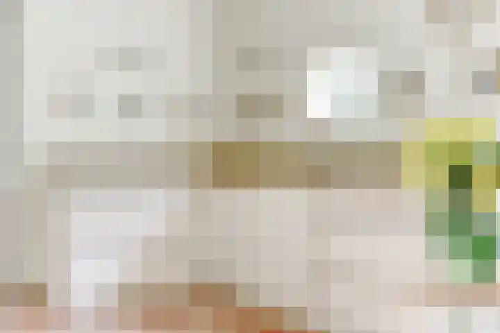 Broekzijdestraat 1 Angerlo thumbnail 17