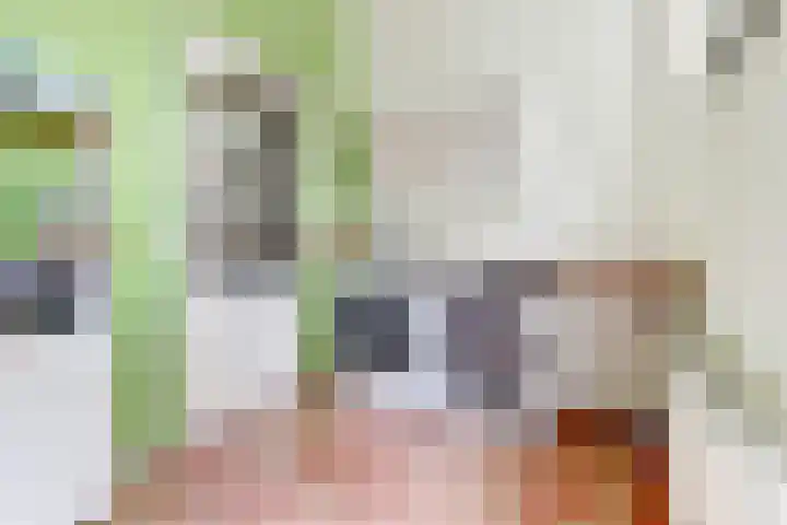 Broekzijdestraat 1 Angerlo thumbnail 20