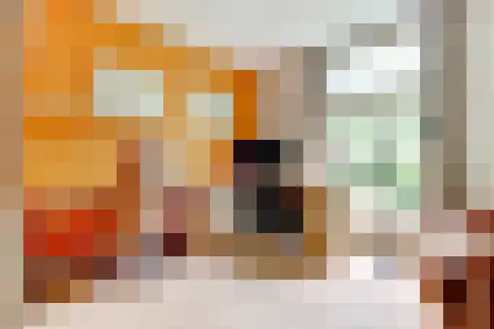 Broekzijdestraat 1 Angerlo thumbnail 21
