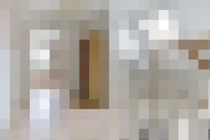 Broekzijdestraat 1 Angerlo thumbnail 34