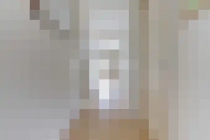 Broekzijdestraat 1 Angerlo thumbnail 36