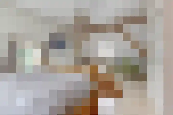 Broekzijdestraat 1 Angerlo thumbnail 37