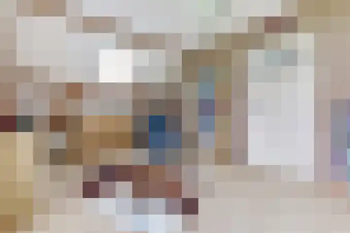 Broekzijdestraat 1 Angerlo thumbnail 42
