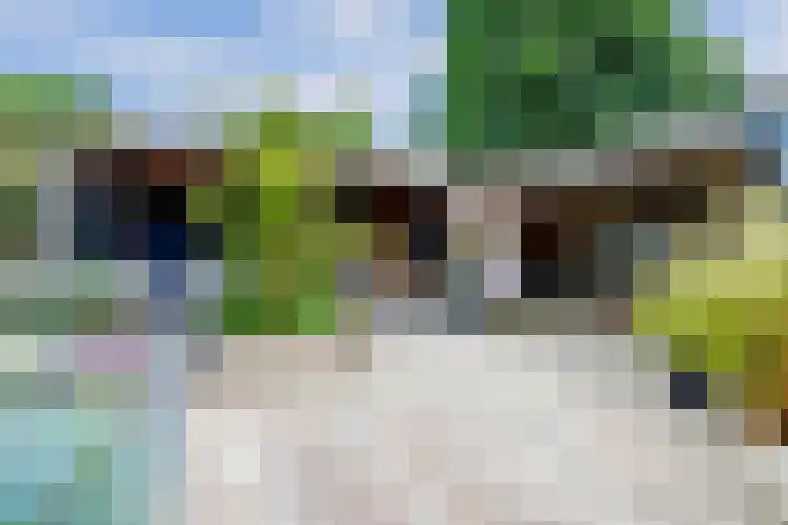 Broekzijdestraat 1 Angerlo thumbnail 56