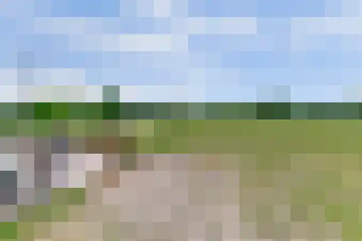 Broekzijdestraat 1 Angerlo thumbnail 63