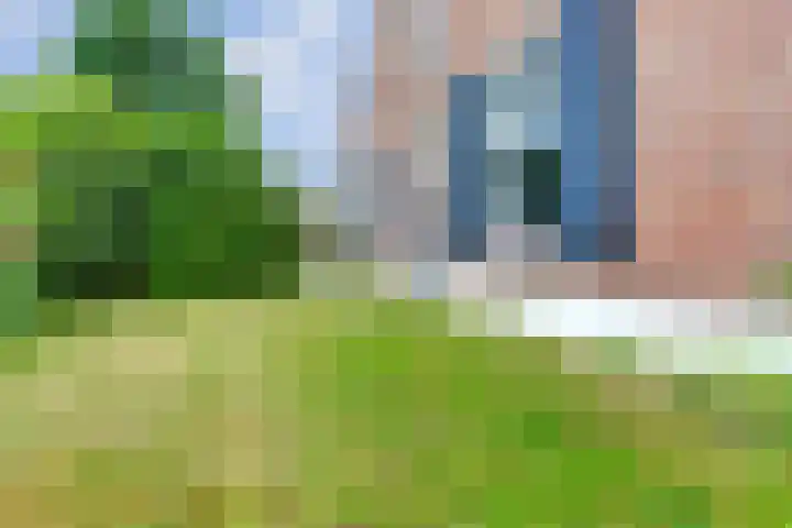 Broekzijdestraat 1 Angerlo thumbnail 82