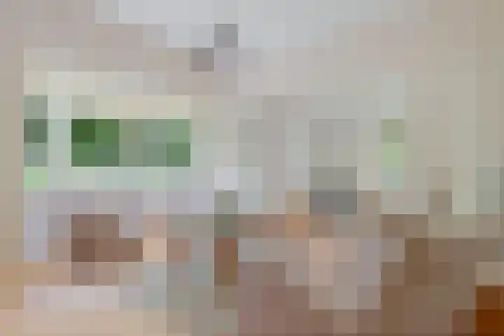 Broekzijdeweg 40 Albergen thumbnail 15