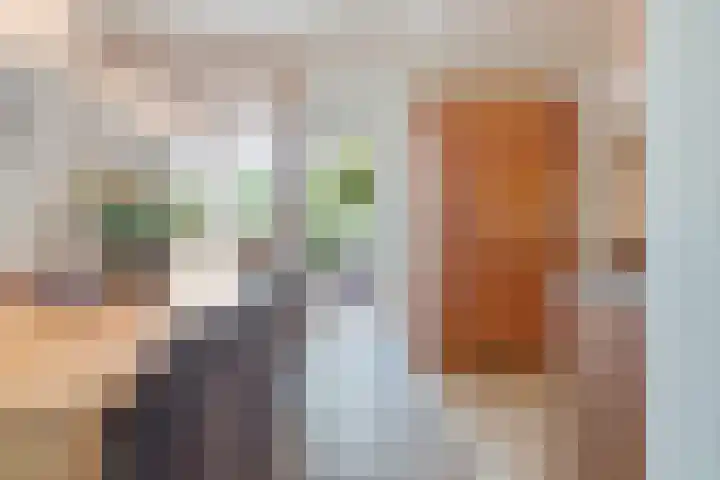 Broekzijdeweg 40 Albergen thumbnail 19