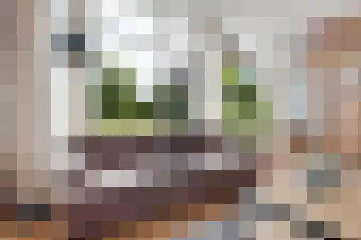 Broekzijdeweg 40 Albergen thumbnail 24