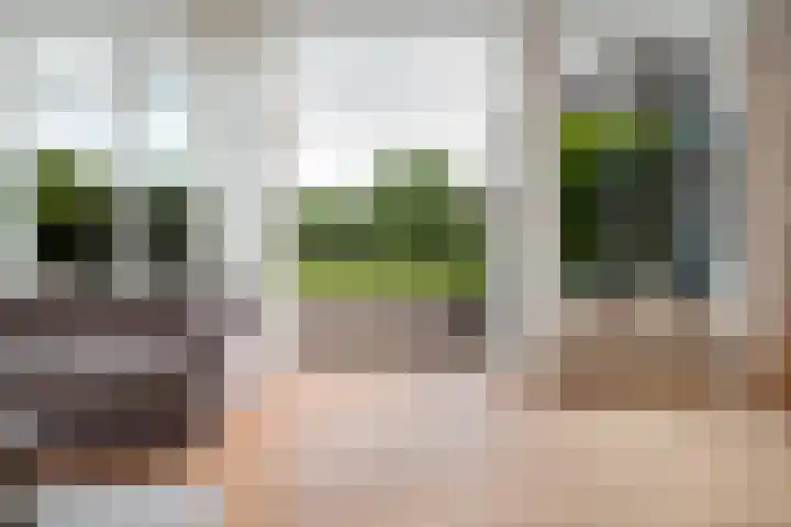 Broekzijdeweg 40 Albergen thumbnail 28