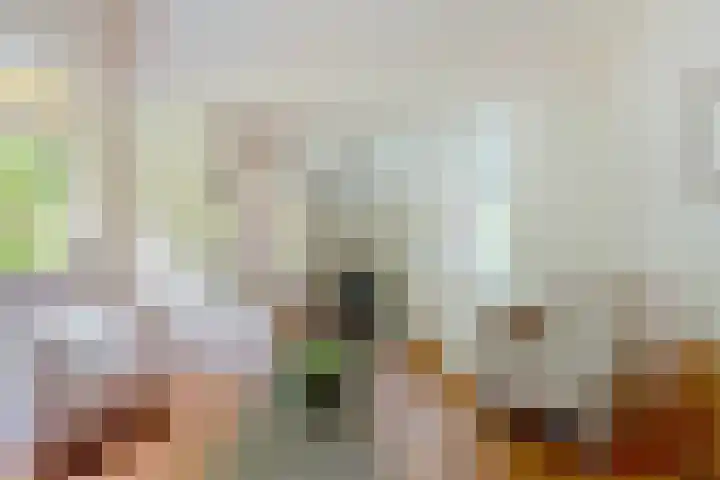 Broekzijdeweg 40 Albergen thumbnail 30