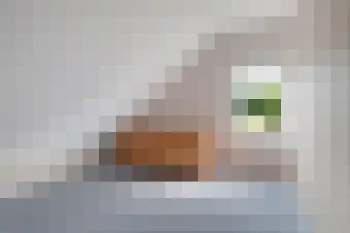 Broekzijdeweg 40 Albergen thumbnail 31