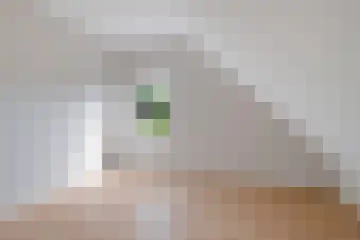 Broekzijdeweg 40 Albergen thumbnail 33