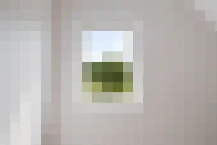 Broekzijdeweg 40 Albergen thumbnail 35