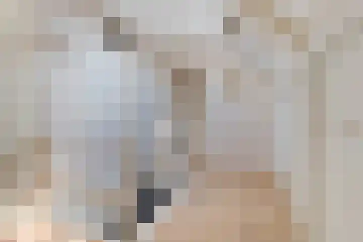 Broekzijdeweg 40 Albergen thumbnail 37