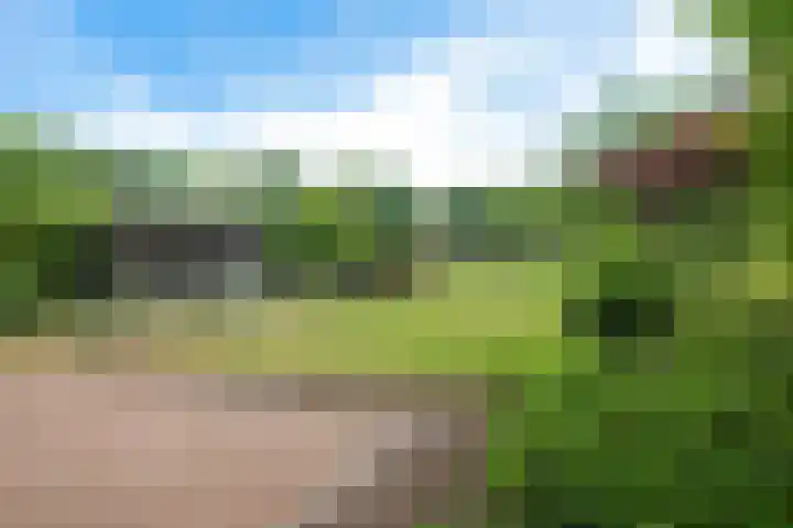 Broekzijdeweg 40 Albergen thumbnail 43