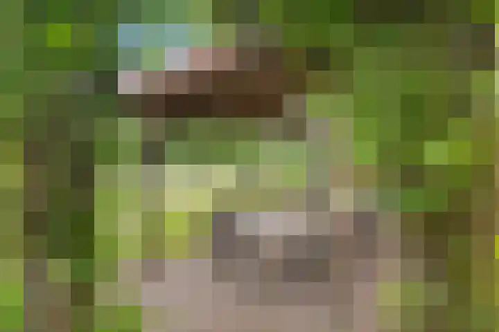 Broekzijdeweg 40 Albergen thumbnail 44