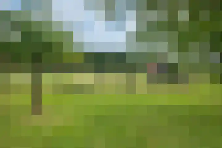 Broekzijdeweg 40 Albergen thumbnail 45