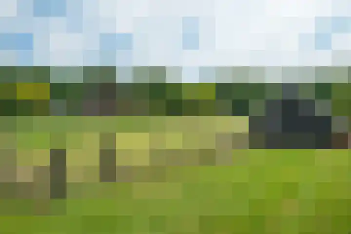Broekzijdeweg 40 Albergen thumbnail 47