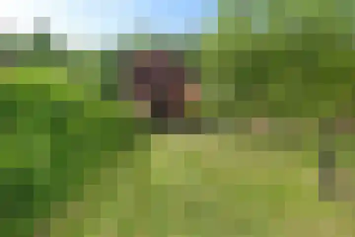 Broekzijdeweg 40 Albergen thumbnail 48