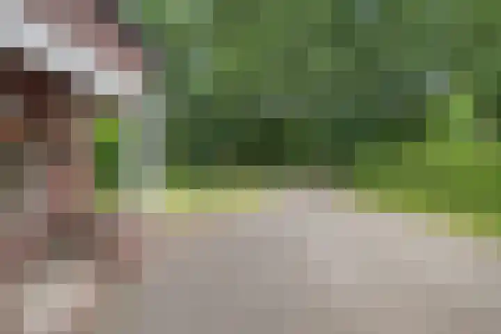 Broekzijdeweg 40 Albergen thumbnail 5