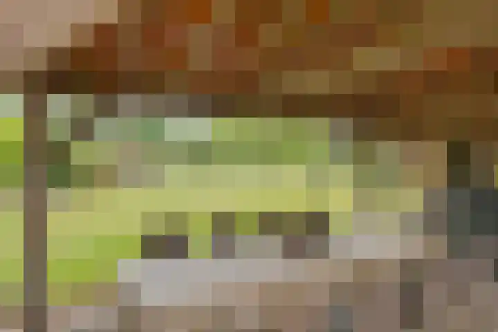 Broekzijdeweg 40 Albergen thumbnail 50