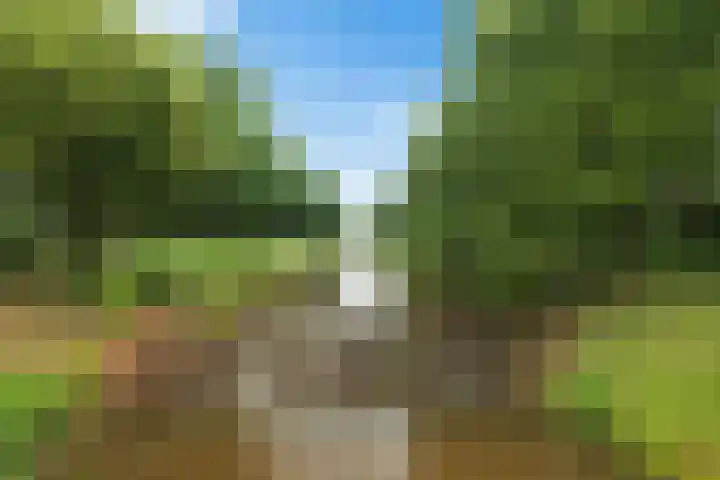Broekzijdeweg 40 Albergen thumbnail 51