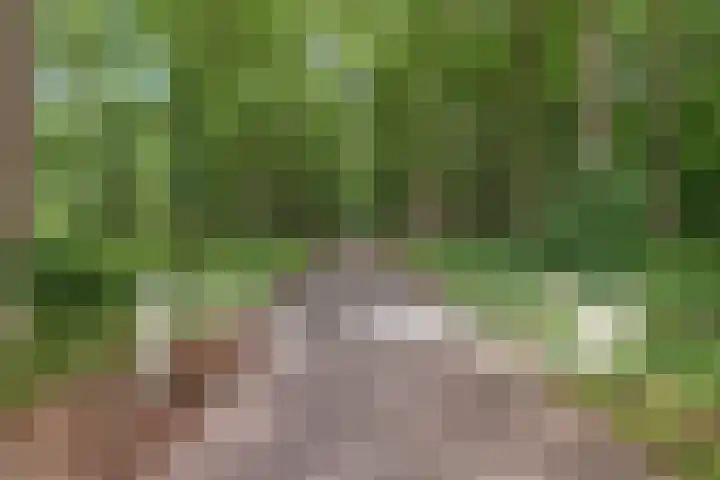 Broekzijdeweg 40 Albergen thumbnail 52