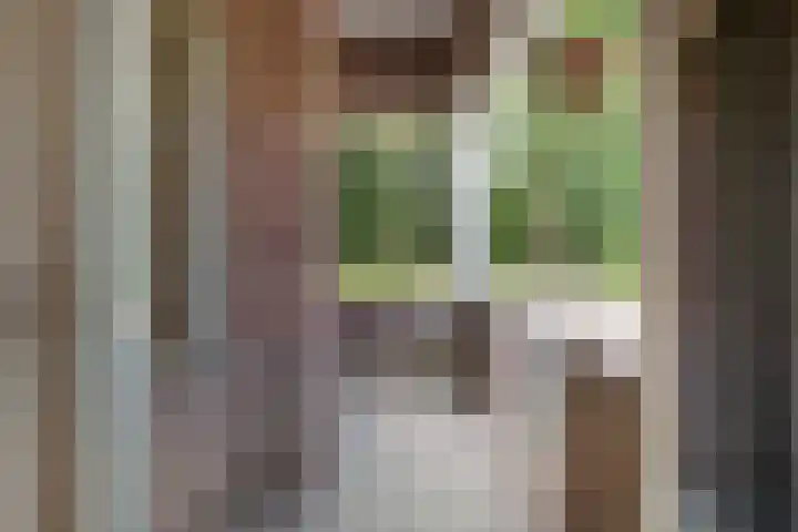 Broekzijdeweg 40 Albergen thumbnail 6