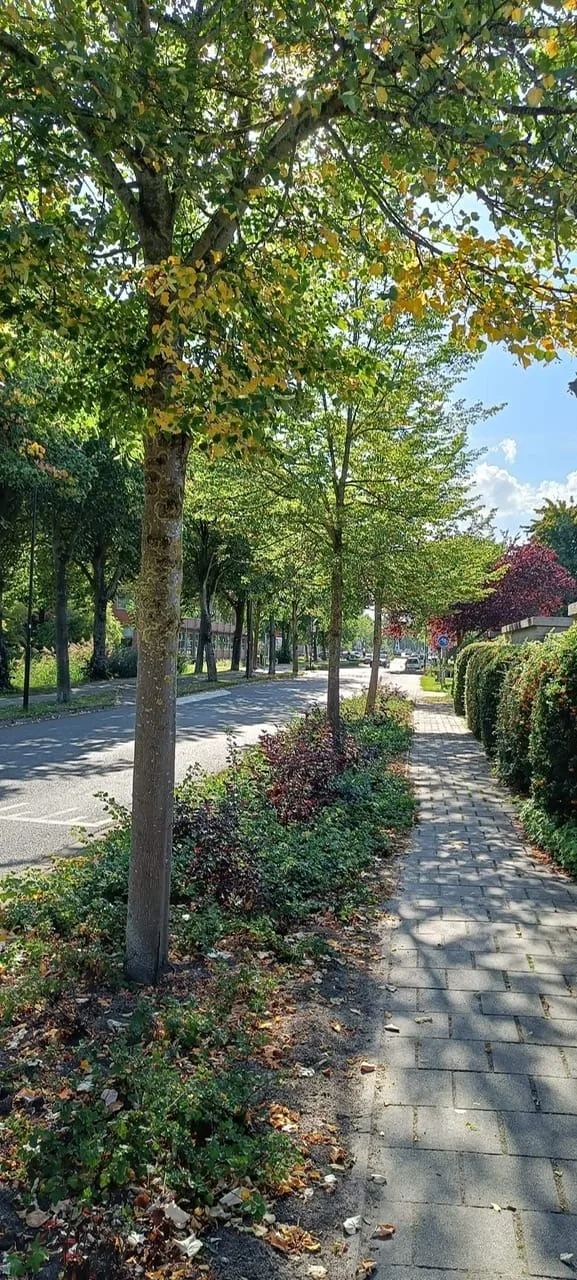 Broekzijdselaan 15 Abcoude thumbnail 44