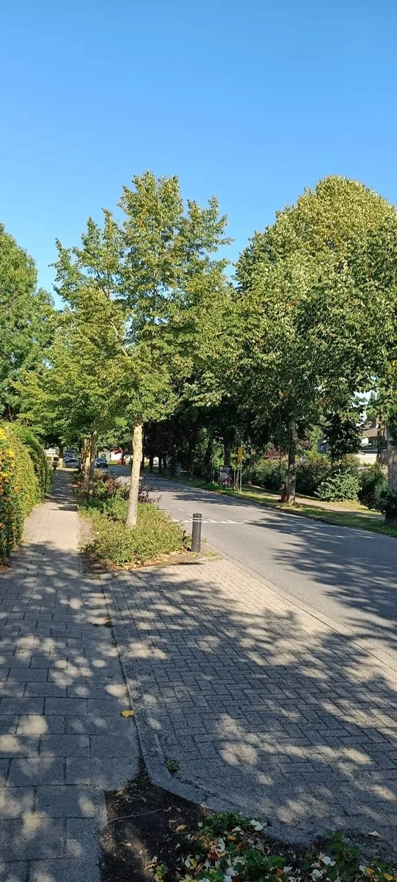 Broekzijdselaan 15 Abcoude thumbnail 45