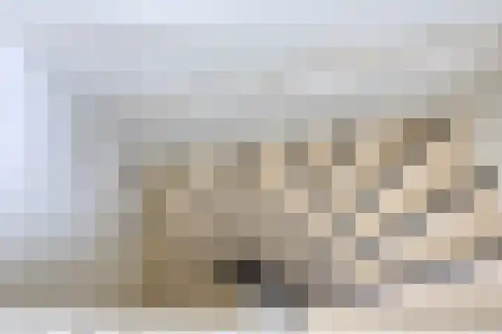 Broekzijdselaan 7 Abcoude thumbnail 14