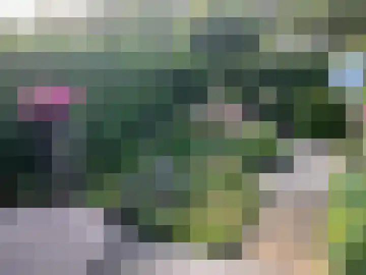 Broekzijdselaan 7 Abcoude thumbnail 17