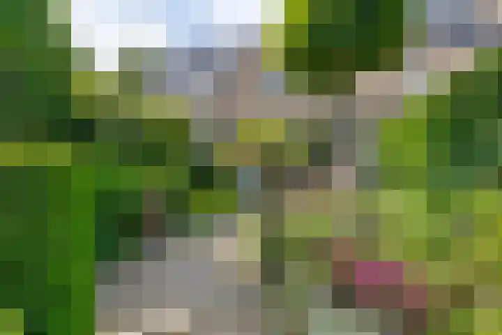Broekzijdselaan 7 Abcoude thumbnail 18