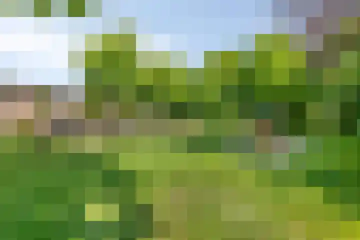 Broekzijdselaan 7 Abcoude thumbnail 22