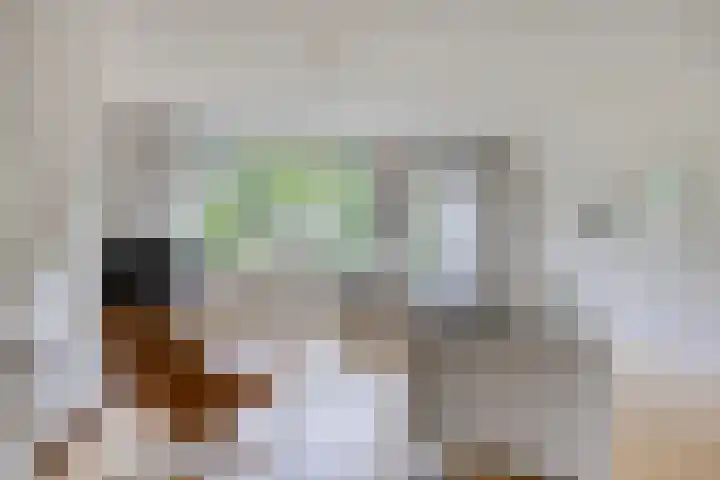 Broekzijdselaan 7 Abcoude foto 3