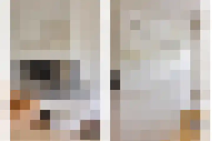Broekzijdselaan 7 Abcoude thumbnail 5