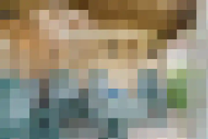 Broenenstraat 31 Geesteren thumbnail 19