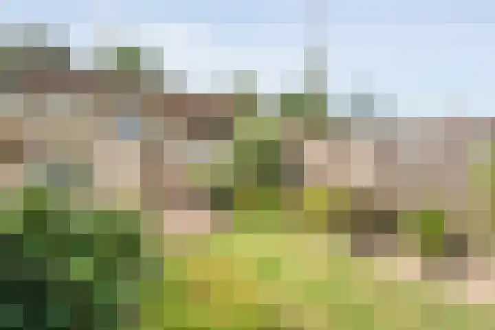 Broenenstraat 31 Geesteren thumbnail 20