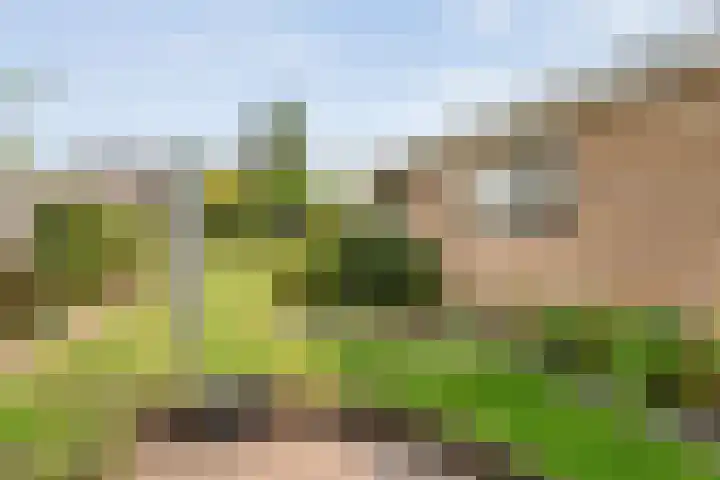 Broenenstraat 31 Geesteren thumbnail 21