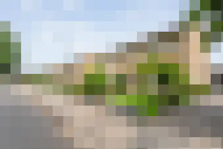 Broenenstraat 31 Geesteren thumbnail 24